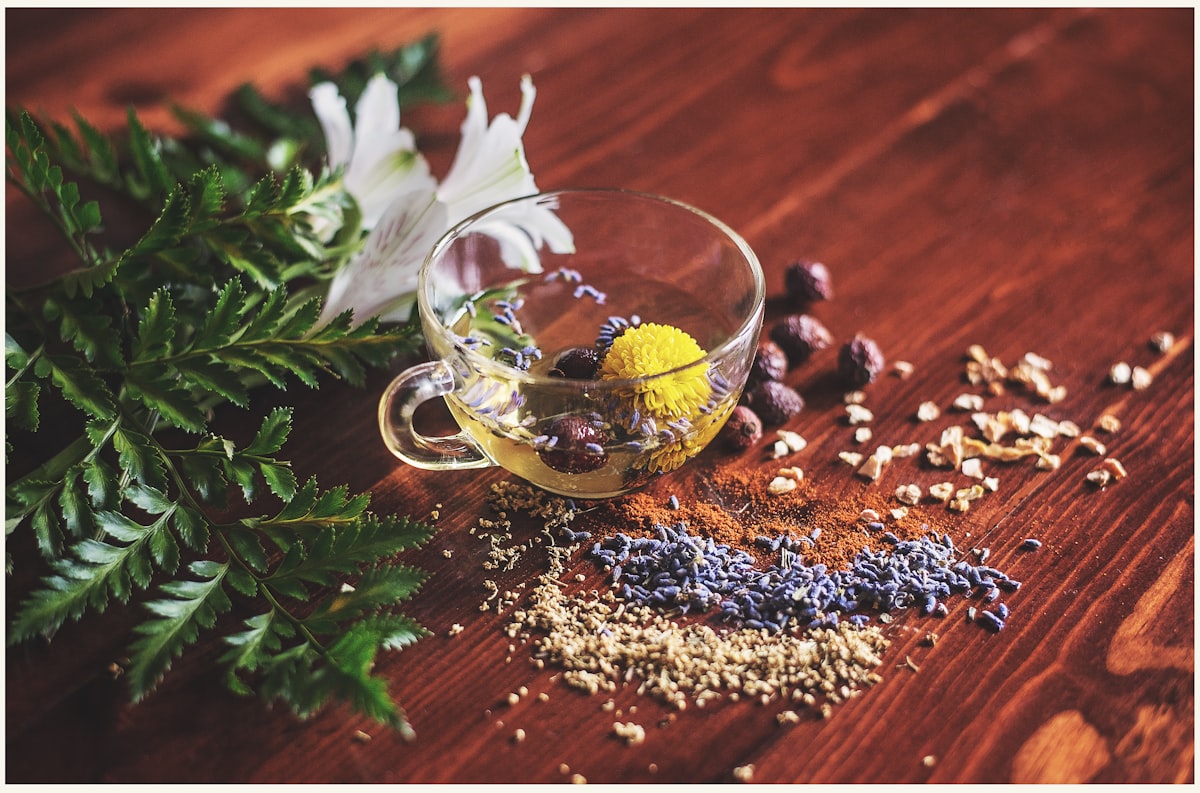 Recovery & Regeneration Supplements